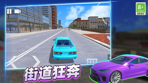 疯狂赛车手3D V3.10000.0123.1.2截图1