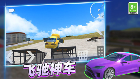 疯狂赛车手3D V3.10000.0123.1.2截图2