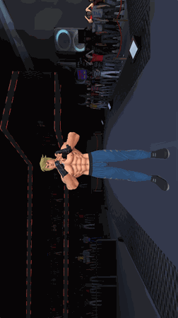 gym格斗 V1.12.4截图3
