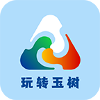 伴车星 V6.7.4